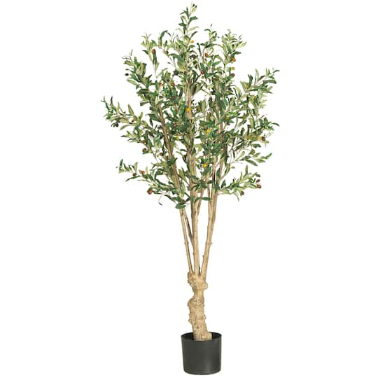 5ft. Potted Olive Tree